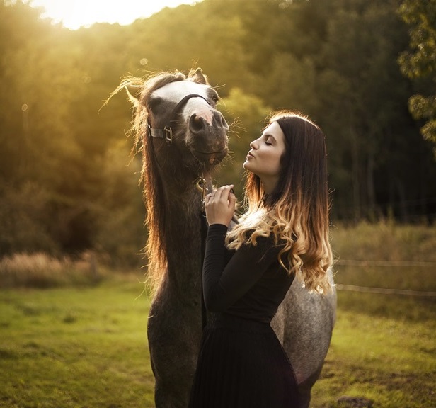 horse girl and sunset on meadow