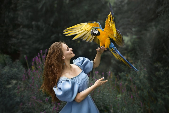 parrot ara ararauna and brunette woman in light blue dress